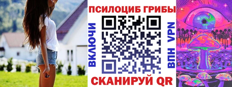 Псилоцибиновые грибы Cubensis  Балей 