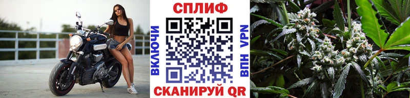 МАРИХУАНА тримм  Балей 